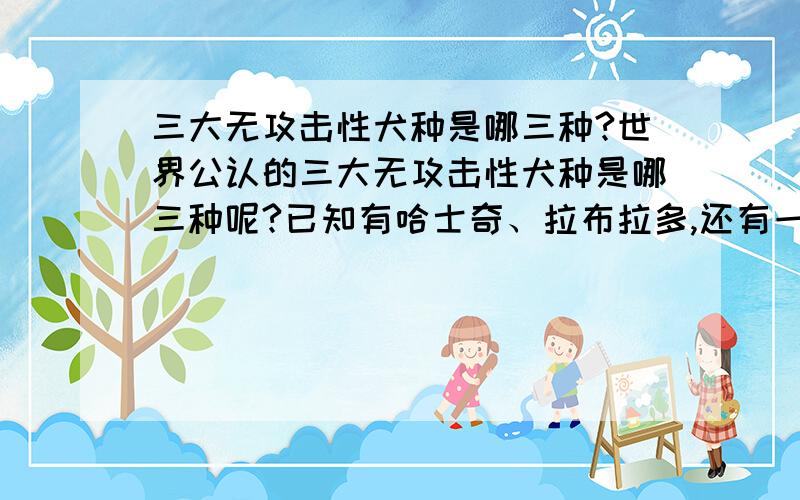 三大无攻击性犬种是哪三种?世界公认的三大无攻击性犬种是哪三种呢?已知有哈士奇、拉布拉多,还有一种是什么?