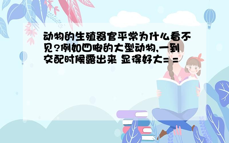 动物的生殖器官平常为什么看不见?例如四脚的大型动物,一到交配时候露出来 显得好大= =