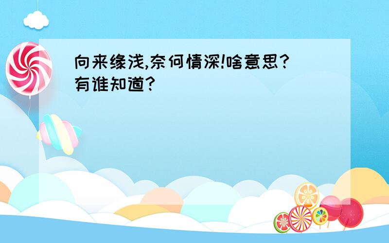 向来缘浅,奈何情深!啥意思?有谁知道?