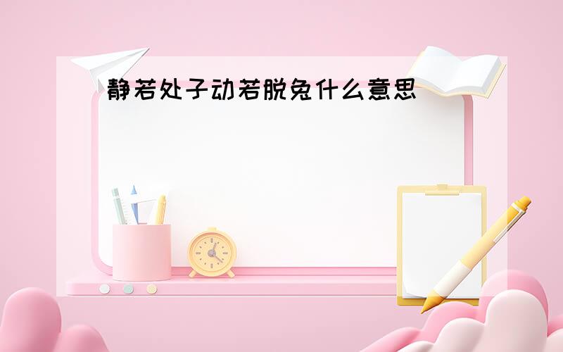 静若处子动若脱兔什么意思