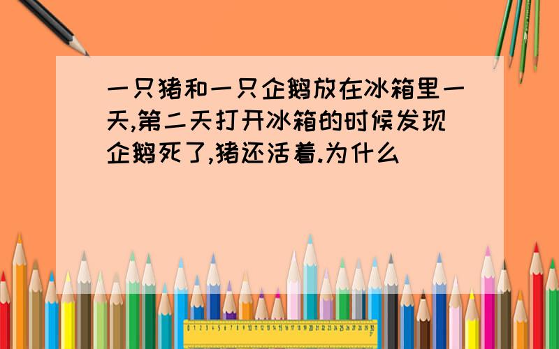 一只猪和一只企鹅放在冰箱里一天,第二天打开冰箱的时候发现企鹅死了,猪还活着.为什么