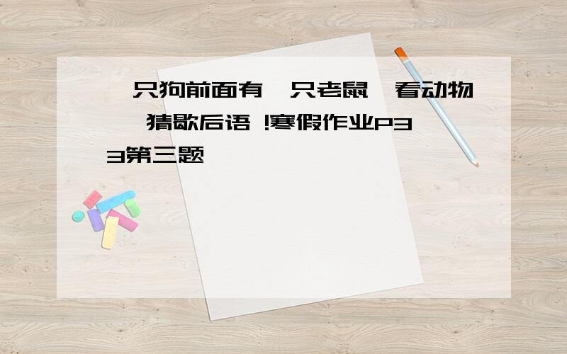 一只狗前面有一只老鼠,看动物, 猜歇后语 !寒假作业P33第三题