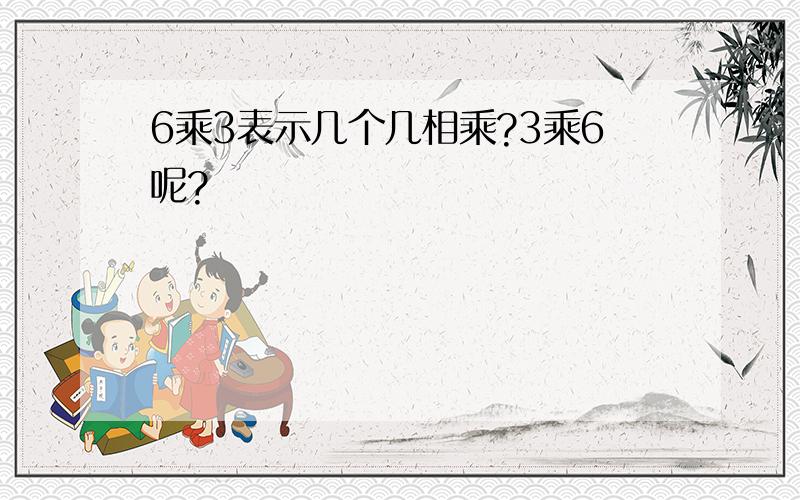 6乘3表示几个几相乘?3乘6呢?