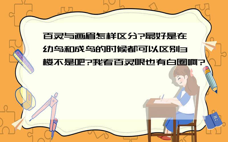 百灵与画眉怎样区分?最好是在幼鸟和成鸟的时候都可以区别3楼不是吧?我看百灵眼也有白圈啊?