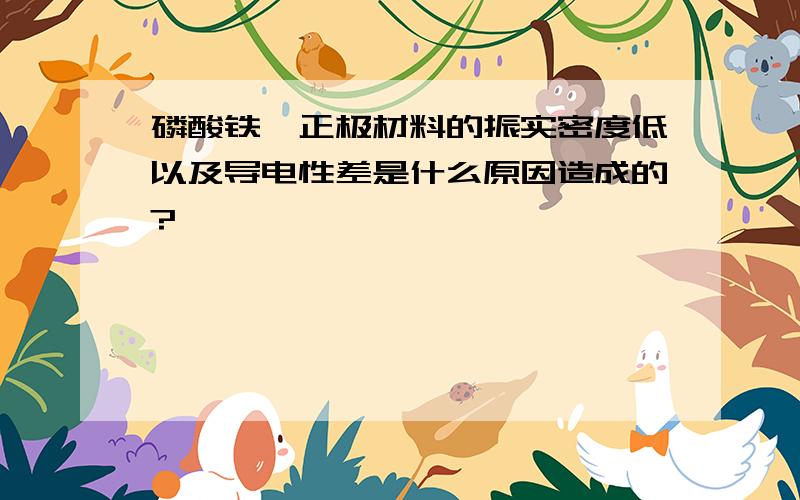 磷酸铁锂正极材料的振实密度低以及导电性差是什么原因造成的?