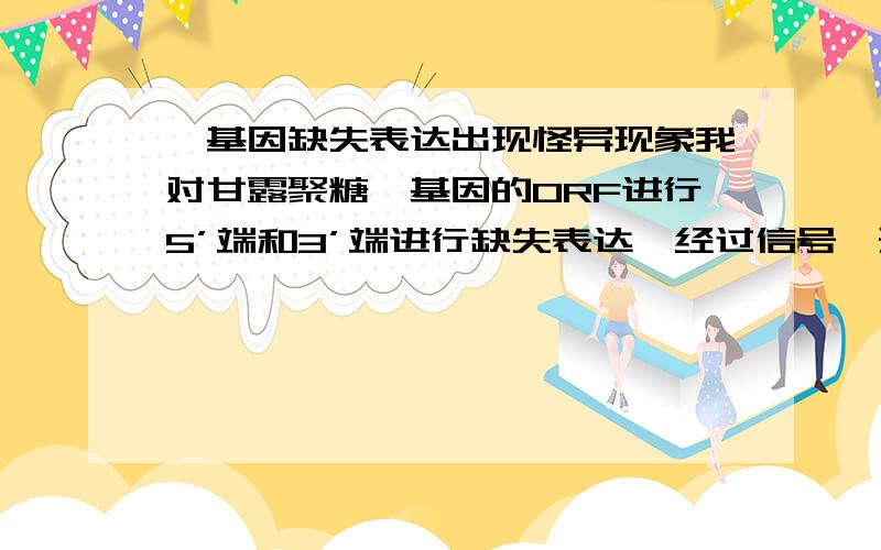 酶基因缺失表达出现怪异现象我对甘露聚糖酶基因的ORF进行5’端和3’端进行缺失表达,经过信号肽预测后发现5'端前27个AA是信号肽,我就试着（一）切除5'端前33个AA,PCR酶切连接到pET28A里进行