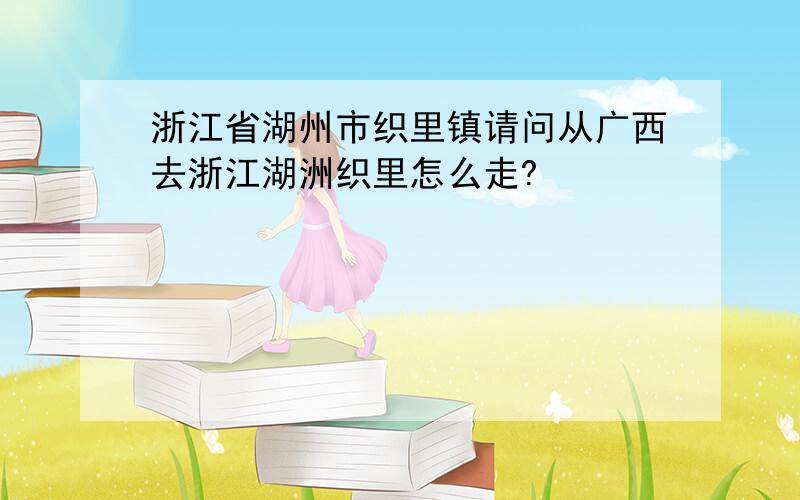 浙江省湖州市织里镇请问从广西去浙江湖洲织里怎么走?