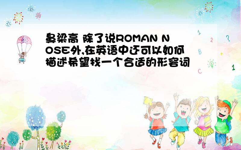 鼻梁高 除了说ROMAN NOSE外,在英语中还可以如何描述希望找一个合适的形容词