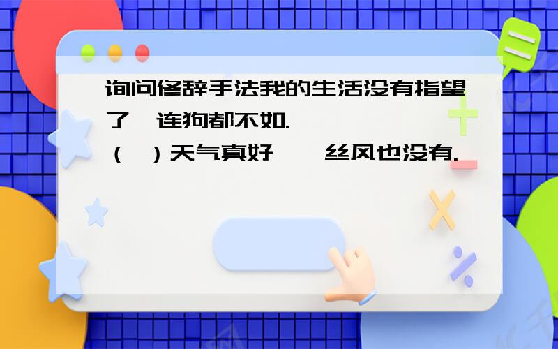 询问修辞手法我的生活没有指望了,连狗都不如.——————（ ）天气真好,一丝风也没有.——————（ ）