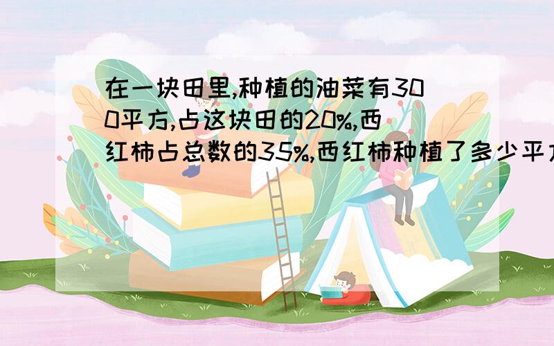 在一块田里,种植的油菜有300平方,占这块田的20%,西红柿占总数的35%,西红柿种植了多少平方米