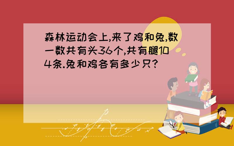 森林运动会上,来了鸡和兔,数一数共有头36个,共有腿104条.兔和鸡各有多少只?