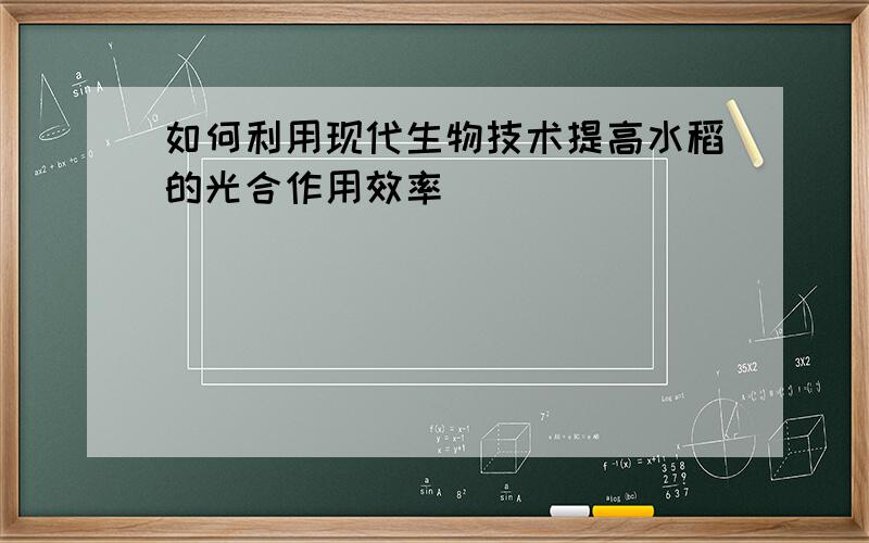 如何利用现代生物技术提高水稻的光合作用效率