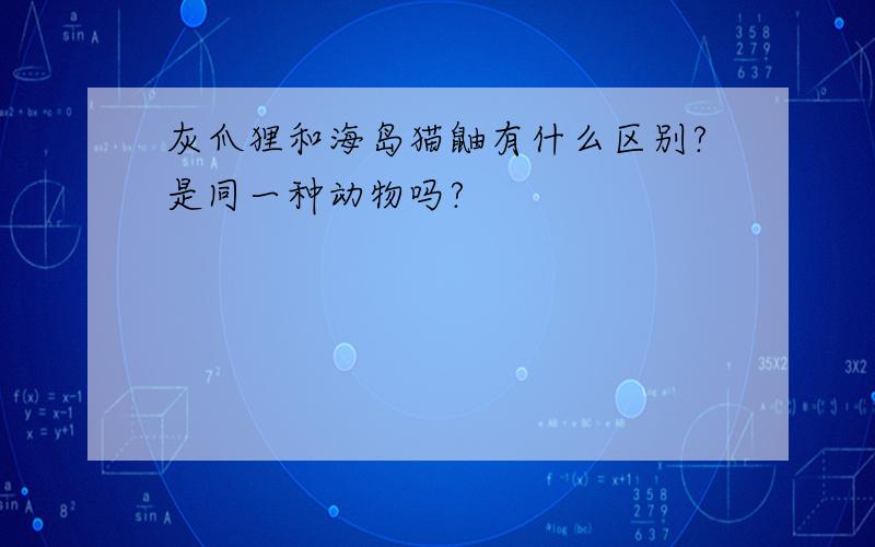 灰爪狸和海岛猫鼬有什么区别?是同一种动物吗?