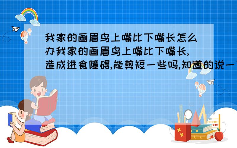 我家的画眉鸟上嘴比下嘴长怎么办我家的画眉鸟上嘴比下嘴长,造成进食障碍,能剪短一些吗,知道的说一下,