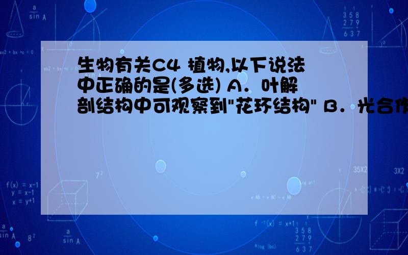 生物有关C4 植物,以下说法中正确的是(多选) A．叶解剖结构中可观察到