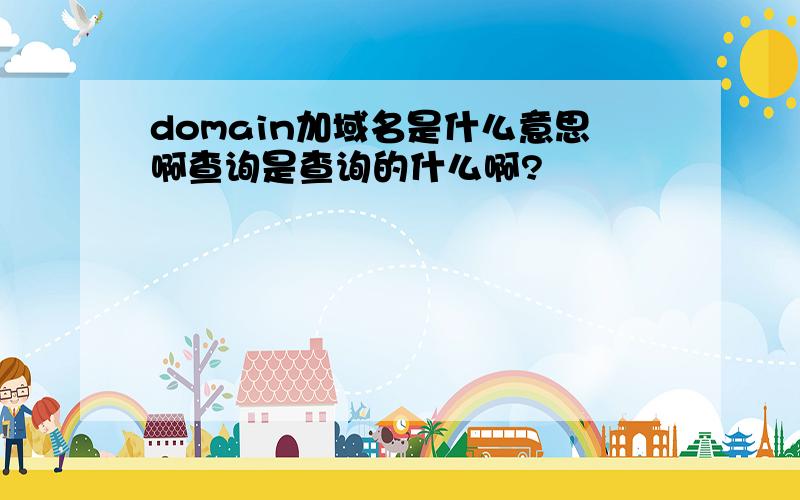 domain加域名是什么意思啊查询是查询的什么啊?