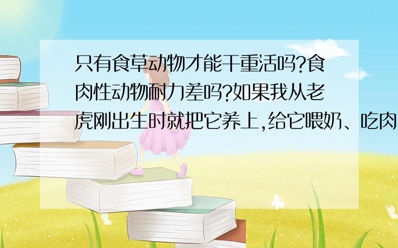 只有食草动物才能干重活吗?食肉性动物耐力差吗?如果我从老虎刚出生时就把它养上,给它喂奶、吃肉,那么把它养大之后,那么这头成年的老虎能帮我干些重活吗?