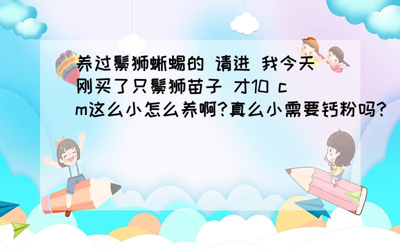 养过鬃狮蜥蜴的 请进 我今天刚买了只鬃狮苗子 才10 cm这么小怎么养啊?真么小需要钙粉吗?