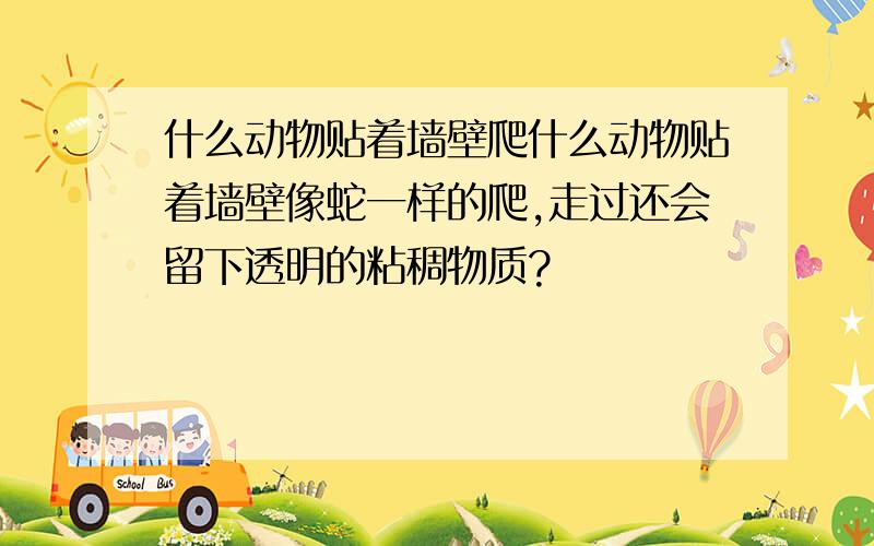 什么动物贴着墙壁爬什么动物贴着墙壁像蛇一样的爬,走过还会留下透明的粘稠物质?