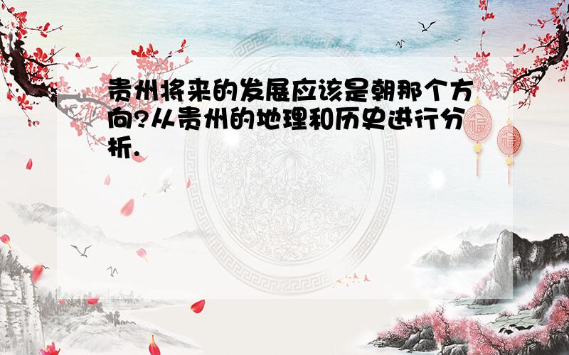 贵州将来的发展应该是朝那个方向?从贵州的地理和历史进行分析.