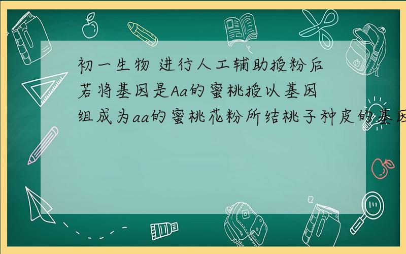 初一生物 进行人工辅助授粉后若将基因是Aa的蜜桃授以基因组成为aa的蜜桃花粉所结桃子种皮的基因型是?胚的基因型是?果肉的基因型是?