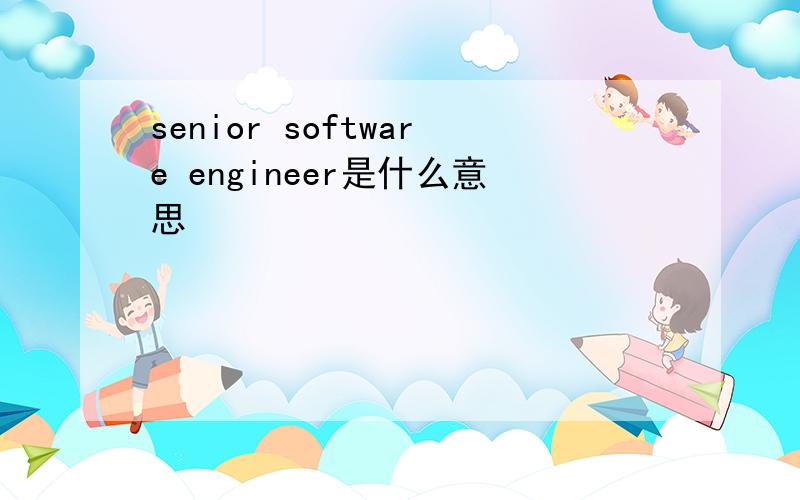 senior software engineer是什么意思