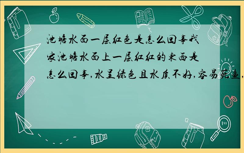 池塘水面一层红色是怎么回事我家池塘水面上一层红红的东西是怎么回事,水呈绿色且水质不好,容易死鱼,是不是蓝澡?有没有什么办法可以改良?