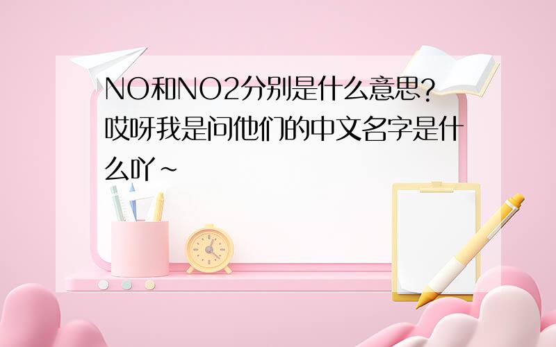 NO和NO2分别是什么意思?哎呀我是问他们的中文名字是什么吖~