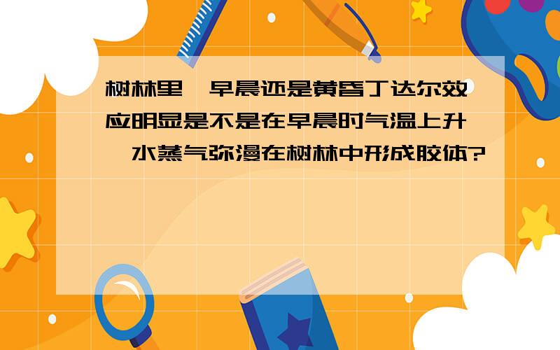 树林里,早晨还是黄昏丁达尔效应明显是不是在早晨时气温上升,水蒸气弥漫在树林中形成胶体?