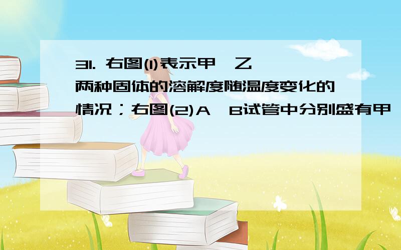 31. 右图(1)表示甲、乙两种固体的溶解度随温度变化的情况；右图(2)A、B试管中分别盛有甲、乙两种固体的饱和溶液,试管底部均有未溶解的固体.向烧杯中加入一种物质,发现A试管中固体增多．