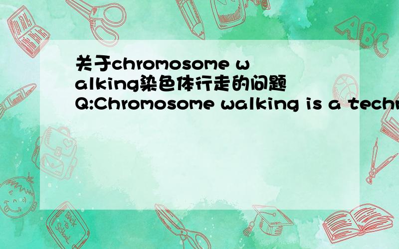 关于chromosome walking染色体行走的问题Q:Chromosome walking is a technique used to clone a gene from its known closest markers.How would you know whether the mutation is upstream or downstream of the known marker?And whether you have found t