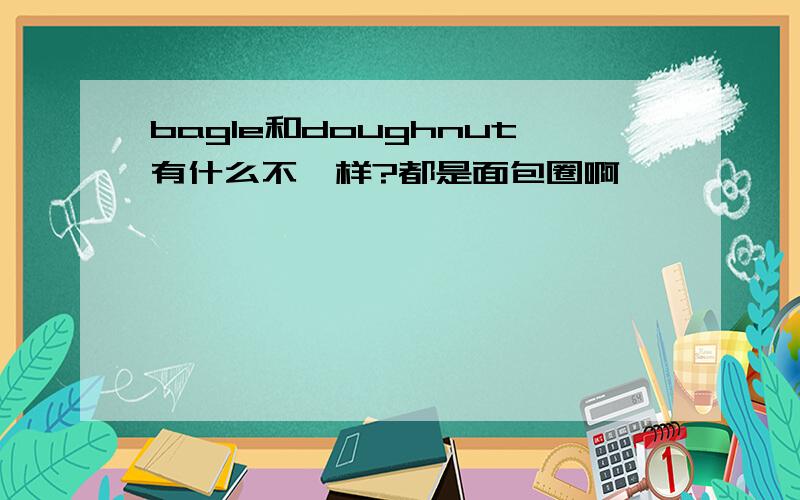 bagle和doughnut有什么不一样?都是面包圈啊