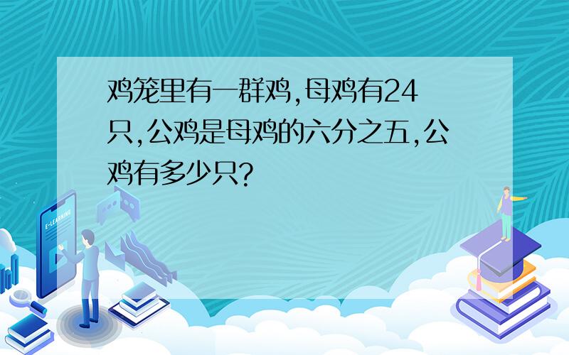 鸡笼里有一群鸡,母鸡有24 只,公鸡是母鸡的六分之五,公鸡有多少只?