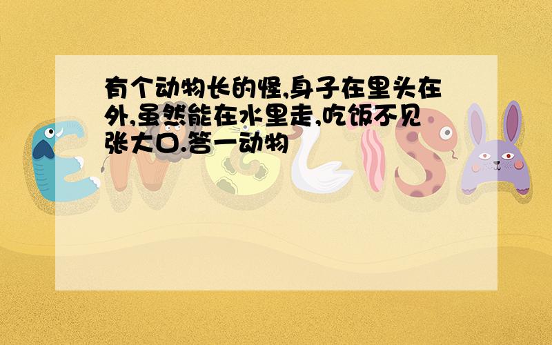 有个动物长的怪,身子在里头在外,虽然能在水里走,吃饭不见张大口.答一动物