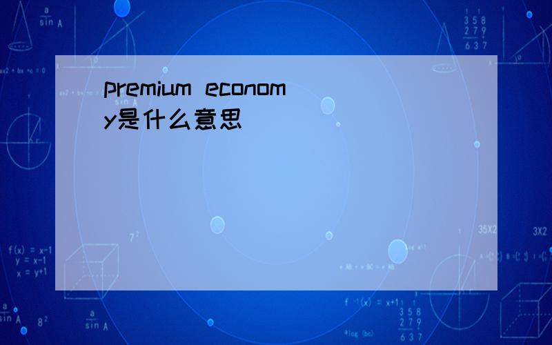 premium economy是什么意思