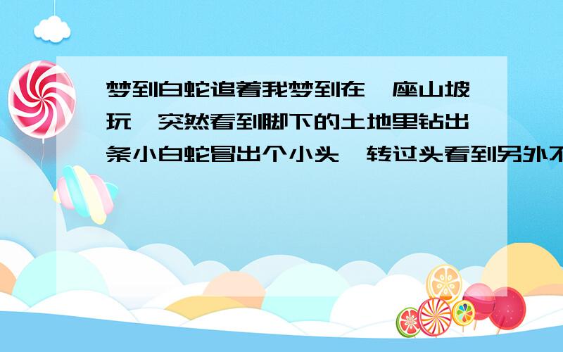 梦到白蛇追着我梦到在一座山坡玩,突然看到脚下的土地里钻出条小白蛇冒出个小头,转过头看到另外不远的地方也有同样的小白蛇,慢慢的出现好多这样的小白蛇,而且不断变大,我害怕就用脚