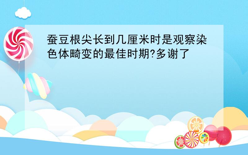 蚕豆根尖长到几厘米时是观察染色体畸变的最佳时期?多谢了