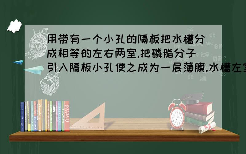 用带有一个小孔的隔板把水槽分成相等的左右两室,把磷脂分子引入隔板小孔使之成为一层薄膜.水槽左室加入50ml含少量K+的溶液并插入负电极,右室加入50ml含大量K+的溶液并插入正电极（如图