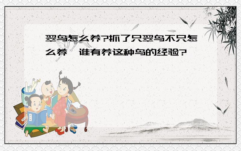 翠鸟怎么养?抓了只翠鸟不只怎么养,谁有养这种鸟的经验?