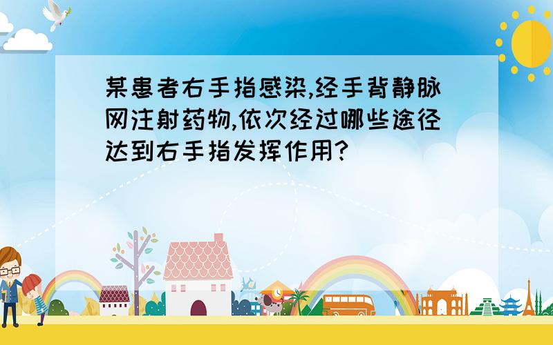 某患者右手指感染,经手背静脉网注射药物,依次经过哪些途径达到右手指发挥作用?