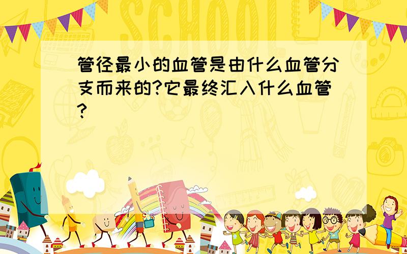 管径最小的血管是由什么血管分支而来的?它最终汇入什么血管?