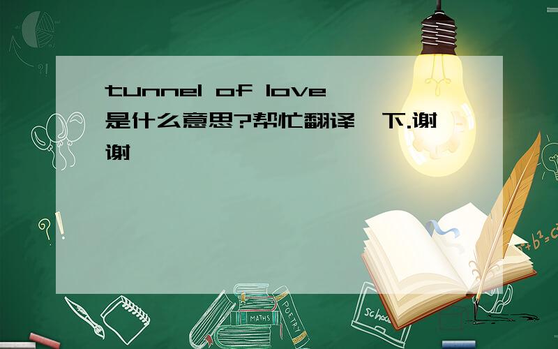 tunnel of love是什么意思?帮忙翻译一下.谢谢