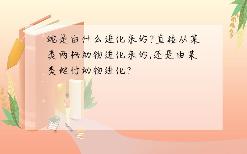 蛇是由什么进化来的?直接从某类两栖动物进化来的,还是由某类爬行动物进化?