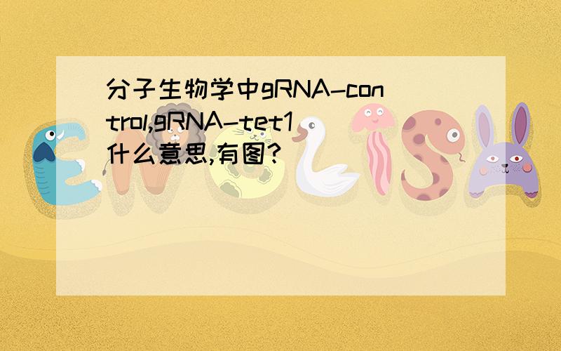 分子生物学中gRNA-control,gRNA-tet1什么意思,有图?