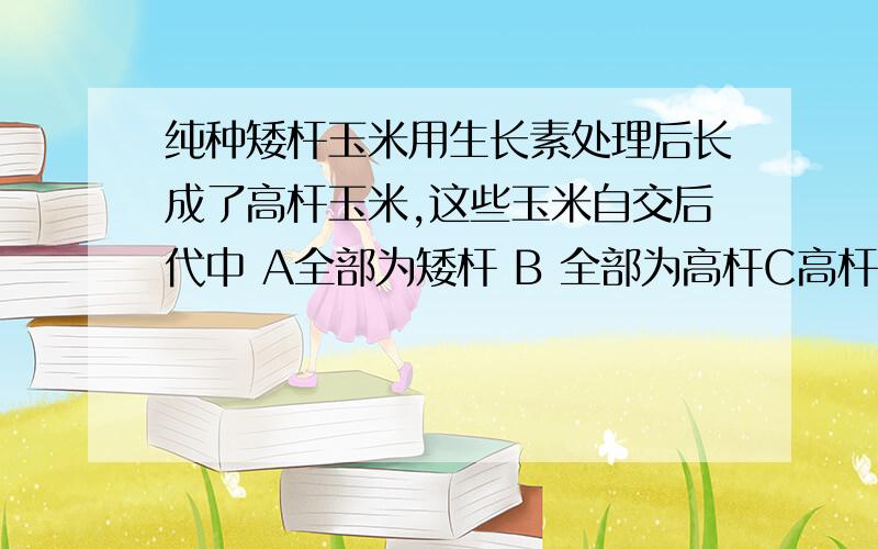 纯种矮杆玉米用生长素处理后长成了高杆玉米,这些玉米自交后代中 A全部为矮杆 B 全部为高杆C高杆：矮杆=3:D高杆 矮杆 =1：1