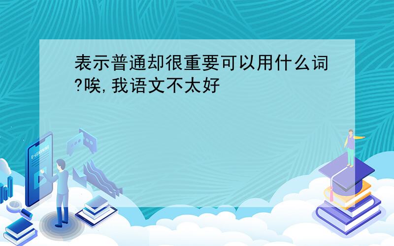 表示普通却很重要可以用什么词?唉,我语文不太好