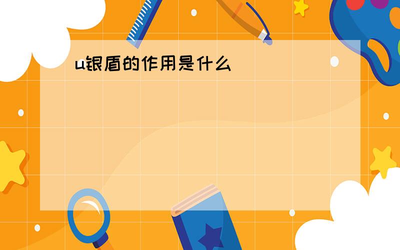 u银盾的作用是什么