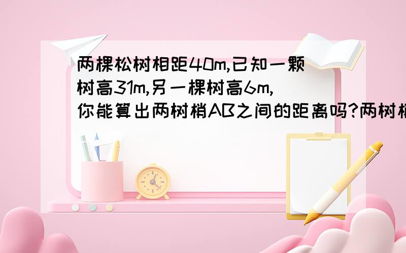 两棵松树相距40m,已知一颗树高31m,另一棵树高6m,你能算出两树梢AB之间的距离吗?两树梢之间的距离能有有理数表示吗?