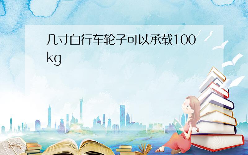 几寸自行车轮子可以承载100kg