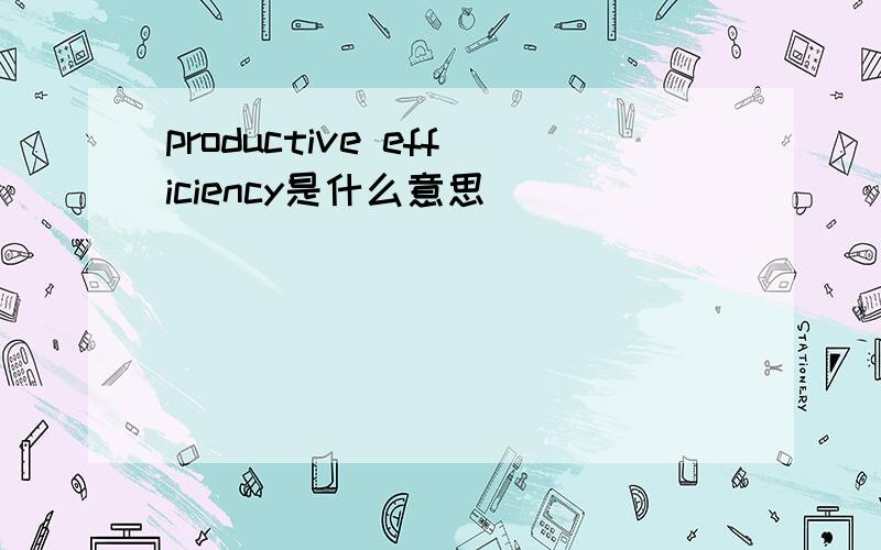 productive efficiency是什么意思